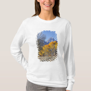 Espenbäume mit der Teton-Gebirgskette T-Shirt