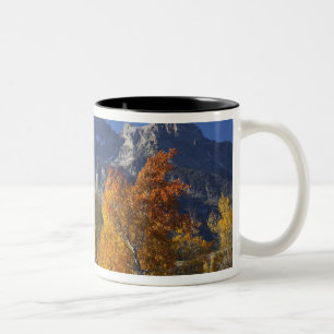 Espenbäume mit der Teton-Gebirgskette Zweifarbige Tasse