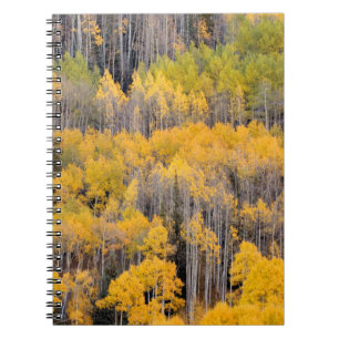 Espenbäume White River National Forest Notizblock