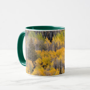 Espenbäume   White River National Forest Tasse