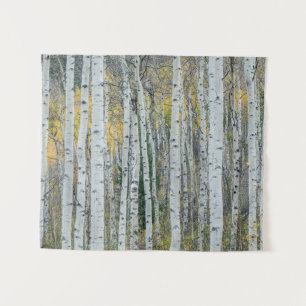 Espenbaumstämme Aspen, Colorado Wandteppich