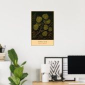 Espenblatt – Vintage botanische Illustration Poster (Heimbüro)