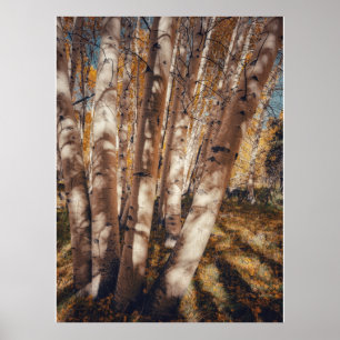 Espenwald-Herbstlandschaft Poster