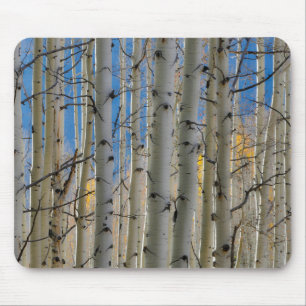 Espenwälder   Rocky Mountains Colorado Mousepad