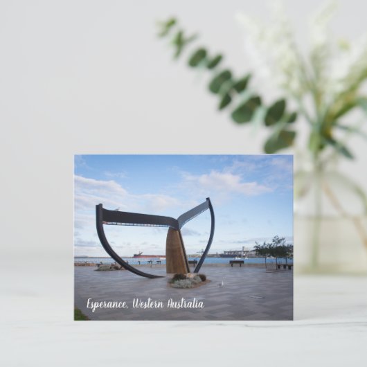 Esperance Esplanade Western Australien Postcard Postkarte (Stehend Vorderseite)