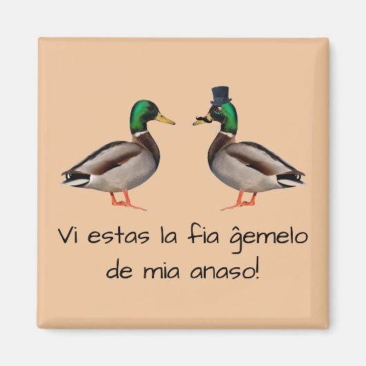 Esperanto: Estas VI La-fia Ĝemelo de Mia anaso! Magnet (Vorne)