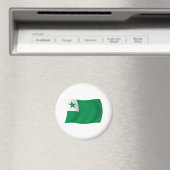 Esperanto-Flaggenmagnet Magnet (In Situ (Geschirrspüler))