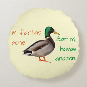 Esperanto: Mir geht es gut, weil ich eine Ente hab Rundes Kissen