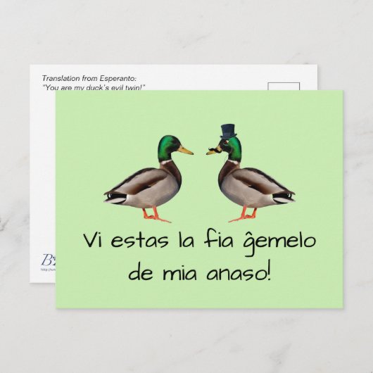 Esperanto: Vi estas ist die ĝ emelo von mia anaso! Postkarte (Vorne/Hinten)