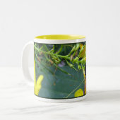 Esperanza-Bienen-Tasse Zweifarbige Tasse (Vorderseite Links)