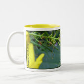 Esperanza-Bienen-Tasse Zweifarbige Tasse (Links)