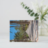 Esplanade, Alicante, Spanien Feiertagspostkarte (Stehend Vorderseite)