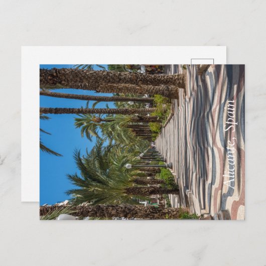 Esplanade, Alicante, Spanien Feiertagspostkarte (Vorne/Hinten)