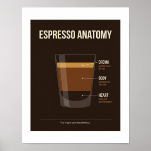 Espresso Anatomie Poster   Kaffee-Bar-Wandkunst  