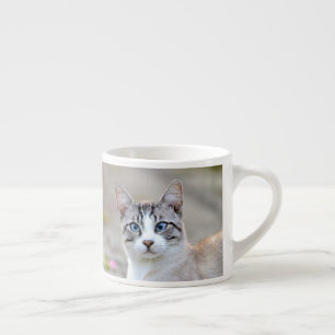 Espresso Becher Foto Katze Haustier Espresso Beche Espressotasse