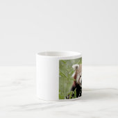 Espresso Becher Foto roter Panda. Espressotasse (Vorderseite)