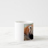 Espresso Becher Foto roter Panda. Espressotasse (Vorderseite)