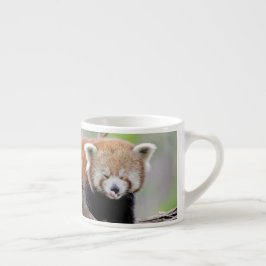 Espresso Becher Foto roter Panda. Espressotasse