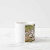 Espresso Becher Foto Schneeleopard, Espresso Beche Espressotasse (Vorderseite)