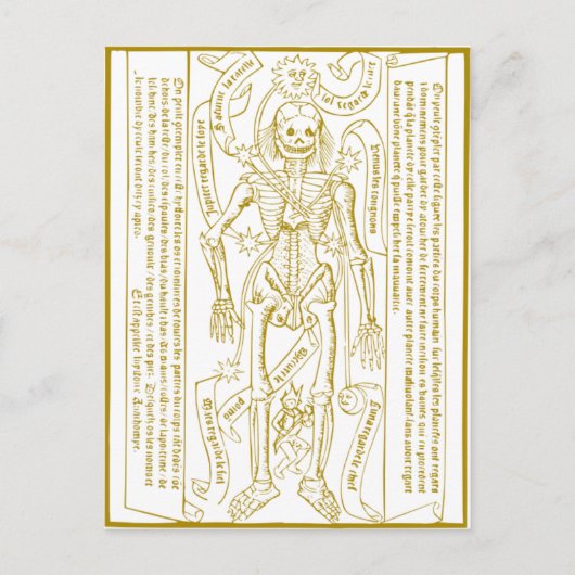 Esqueleto esotérico postkarte (Vorderseite)