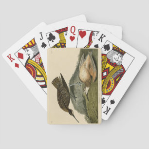 Esquimaux Curlew von Audubons Vögeln Amerikas Spielkarten