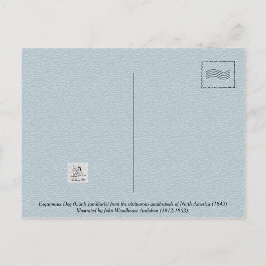 Esquimaux Dog (Canis familiaris) aus Nordamerika Postkarte (Rückseite)