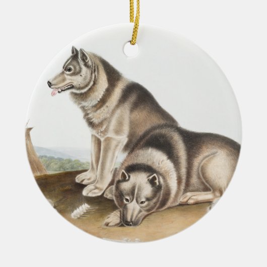 Esquimaux Dog (Canis familiaris) Illustration Keramik Ornament (Vorne)