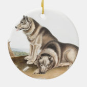 Esquimaux Dog (Canis familiaris) Illustration Keramik Ornament (Hinten)