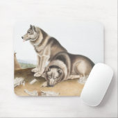 Esquimaux Dog (Canis familiaris) Illustration Mousepad (Mit Mouse)
