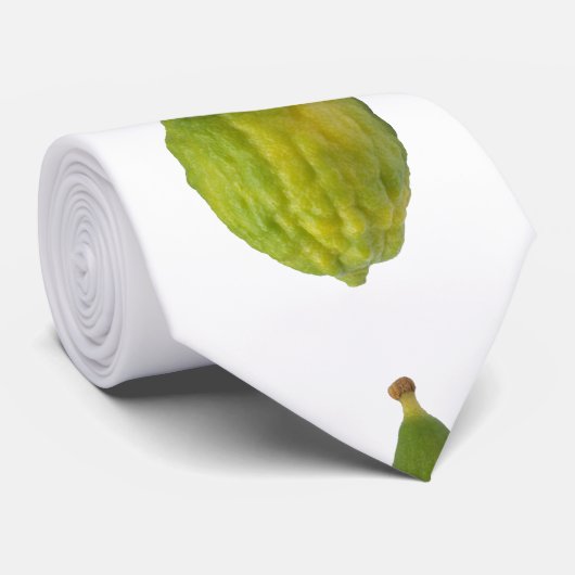 Esrog - Etrog Krawatte (Gerollt)