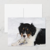 ess bwt puppy postkarte (Vorne/Hinten)