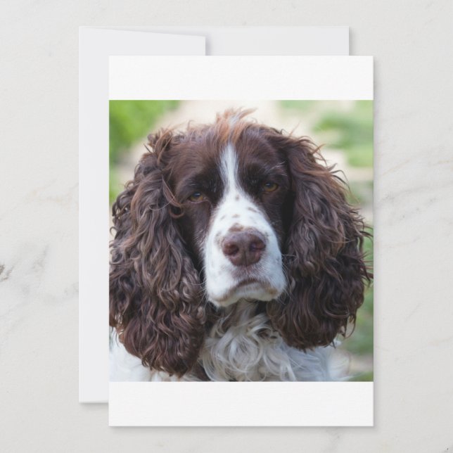 ESS Leber-Weiße Sekunde (Vorderseite)