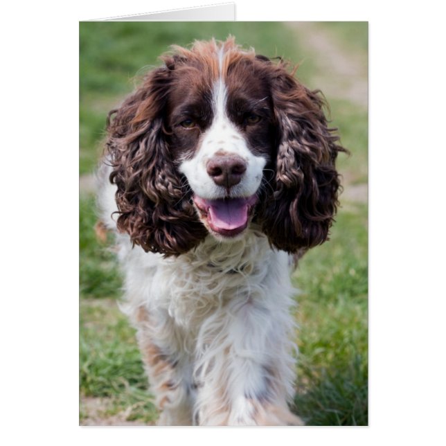 ess walk.png (Vorne)