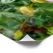 Essbare Blume für Riesen-Hibiskus perfekt Poster (Ecke)