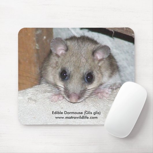 "Essbarer Dormouse" Mousepad (Mit Mouse)