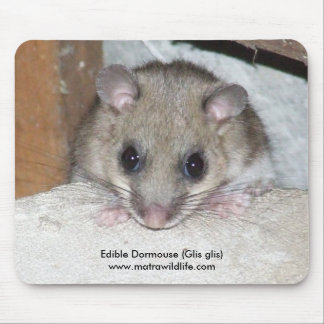 "Essbarer Dormouse" Mousepad