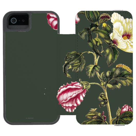 Essbarer Eibisch Incipio iPhone Geldbeutel-Hülle (Folio Geöffnet)