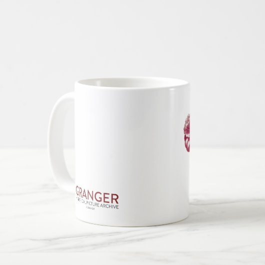 Essbarer Eibisch Kaffeetasse (Vorderseite Links)