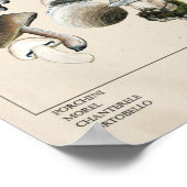 Essbares Mushroom Chart Poster (Ecke)