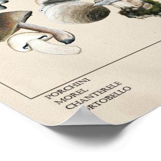 Essbares Mushroom Chart Poster (Ecke)