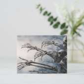 Esse Drink werden Zombie Skeleton Halloween-Karte  Postkarte (Stehend Vorderseite)