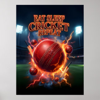 Essen Schlafen Cricket Flamme Poster