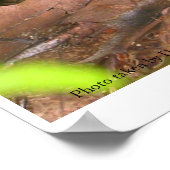 Essen Sie nicht im Pilz Poster (Ecke)