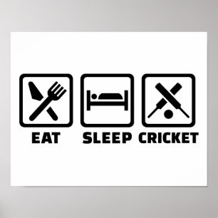 Essen Sie Schlaf-Cricket Poster