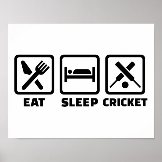 Essen Sie Schlaf-Cricket Poster (Vorne)