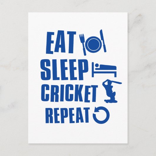 Essen Sie Schlaf Cricket Postkarte (Vorderseite)
