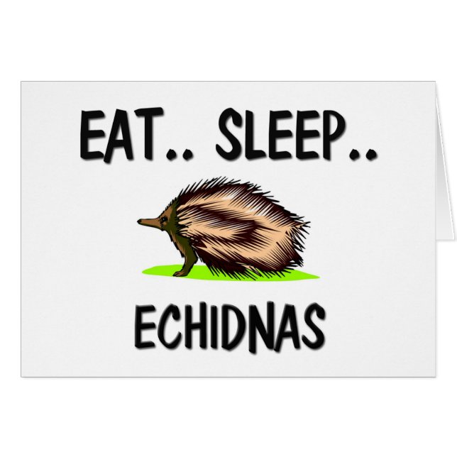 Essen Sie Schlaf ECHIDNAS (Vorderseite (Horizontal))