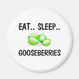 Essen Sie Schlaf STACHELBEEREN Magnet