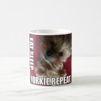 Essen Sie! Schlaf! Yorkie! Wiederholung! :) Kaffeetasse