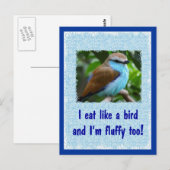 Essen Sie wie ein Vogel 2 Postkarte (Vorne/Hinten)